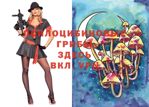дмт Белоозёрский
