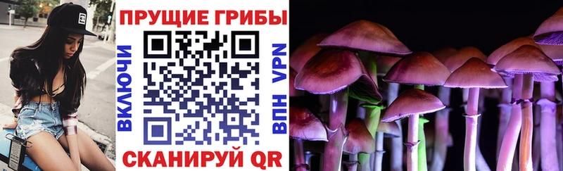 Псилоцибиновые грибы Magic Shrooms  где продают   Венёв 