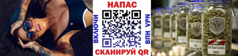 ссылка на мегу ТОР  купить наркотики сайты  Венёв  Шишки марихуана сатива 